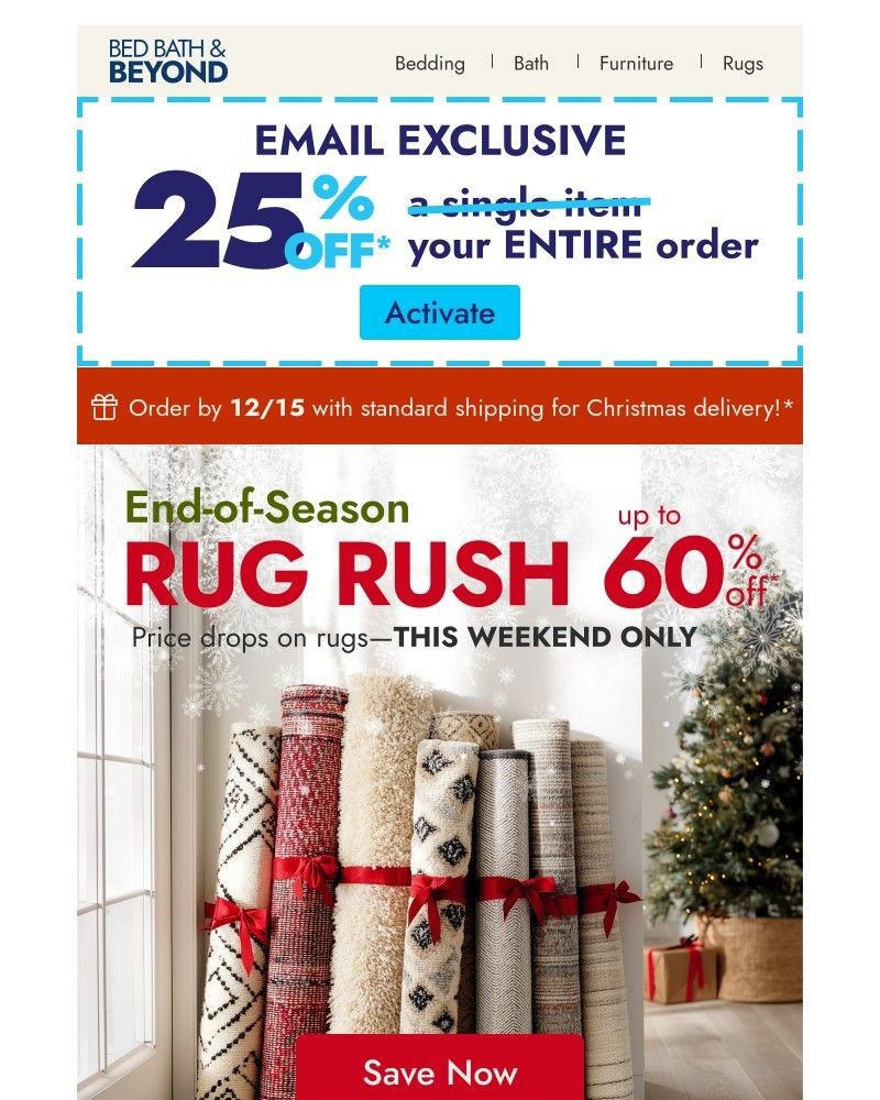 Screenshot of email with subject /media/emails/3-days-endless-rug-deals-up-to-60-off-b86d48-cropped-cc22bede.jpg