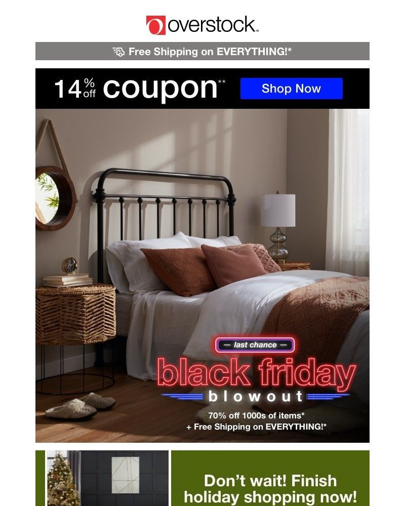 Screenshot of email with subject /media/emails/3-days-left-use-your-14-off-coupon-today-say-goodbye-to-black-friday-deals-669de1_IQblxzq.jpg