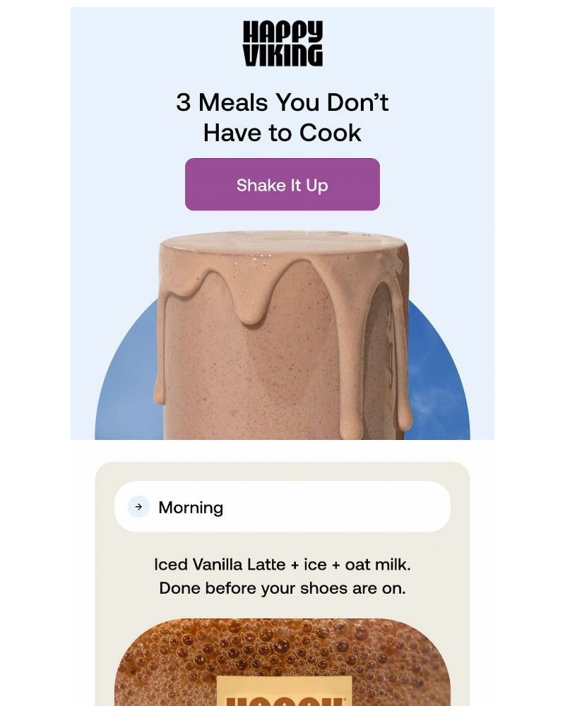 Screenshot of email sent to a Happy Viking Newsletter subscriber