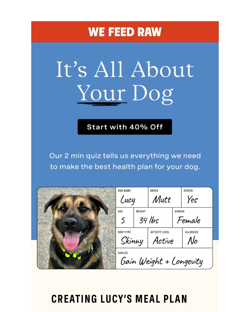 Screenshot of email sent to a We Feed Raw Newsletter subscriber