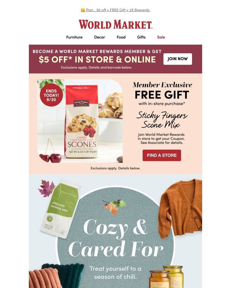 Screenshot of email with subject /media/emails/3-of-our-coziest-fall-deals-inside-2d06c0-cropped-f4a105de.jpg