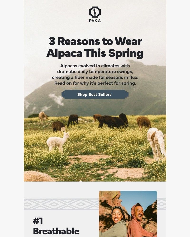 Screenshot of email with subject /media/emails/3-reasons-to-wear-alpaca-this-spring-392060-cropped-b3304a8f.jpg