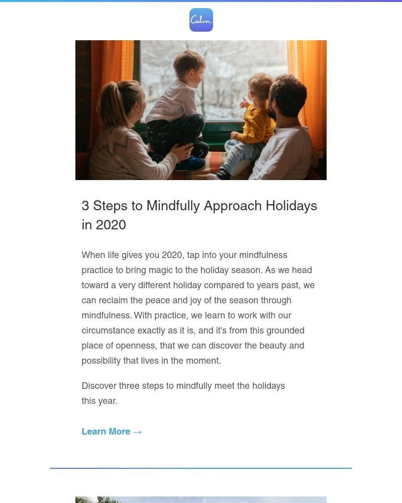 Screenshot of email with subject /media/emails/3-steps-to-navigating-holidays-in-2020-86b6d6-cropped-fc41285c.jpg