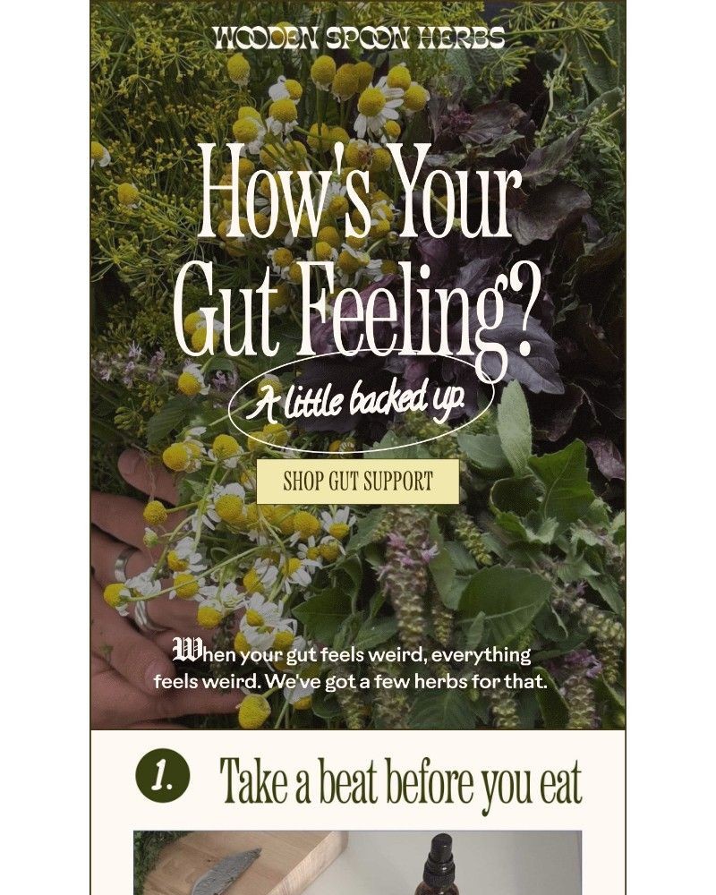 Screenshot of email with subject /media/emails/3-ways-to-get-your-gut-back-on-track-fda9a5-cropped-9eb61676.jpg