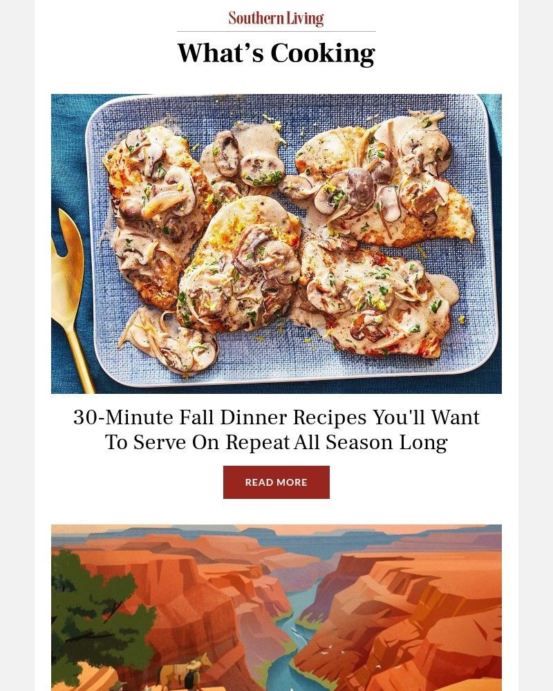 Screenshot of email with subject /media/emails/30-minute-fall-dinner-recipes-youll-want-to-serve-on-repeat-all-season-long-a3a79_FtdpYSu.jpg