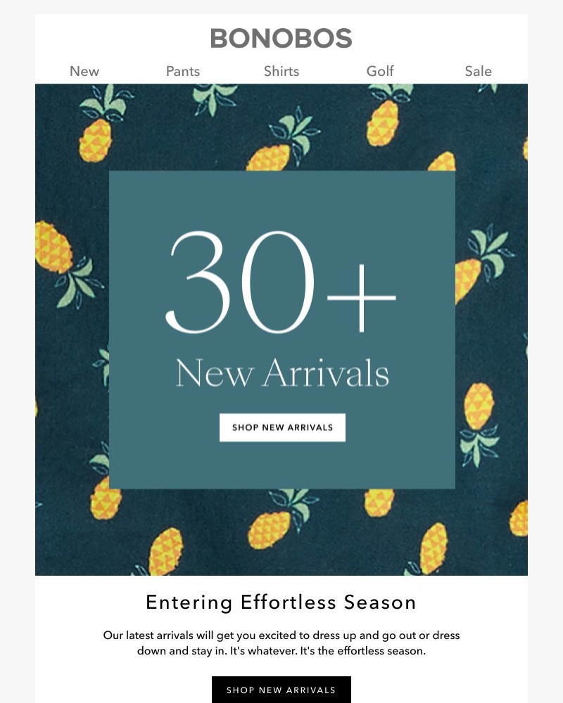 Screenshot of email with subject /media/emails/30-new-arrivals-5541ba-cropped-cdbb6081.jpg