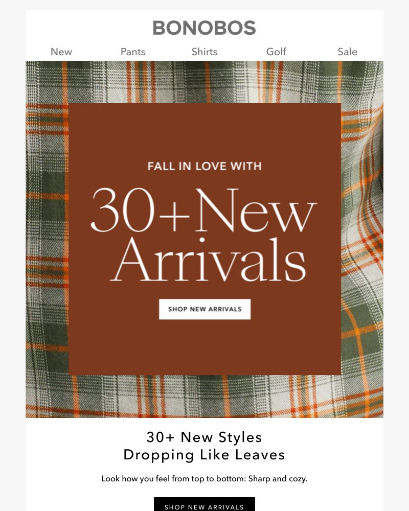 Screenshot of email with subject /media/emails/30-new-arrivals-e8ce84-cropped-bef8f1a0.jpg