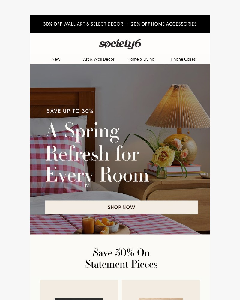 Screenshot of email sent to a Society6 Newsletter subscriber