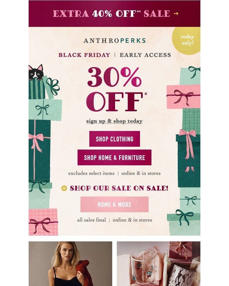 Screenshot of email with subject /media/emails/30-off-black-friday-starting-now-8188ae-cropped-61ad1c0c.jpg