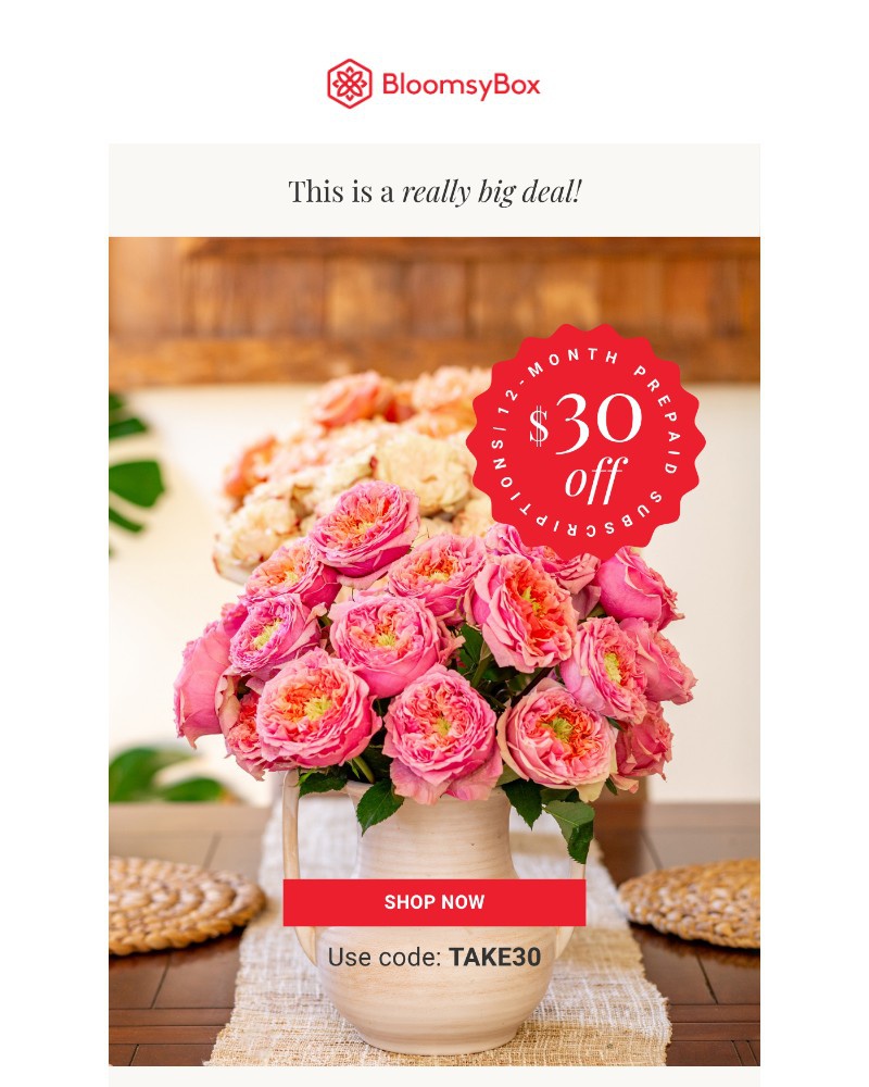 Screenshot of email with subject /media/emails/30-off-ends-soon-0960dc-cropped-4dbf3e9e.jpg