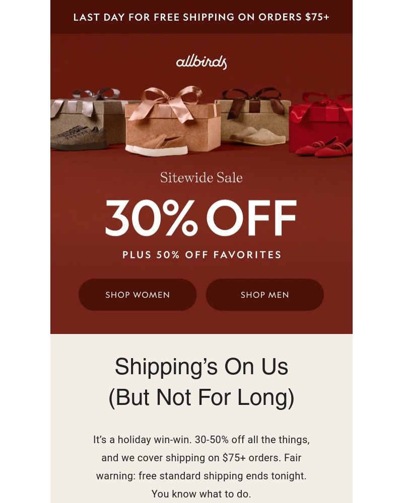 Screenshot of email sent to a Allbirds Newsletter subscriber
