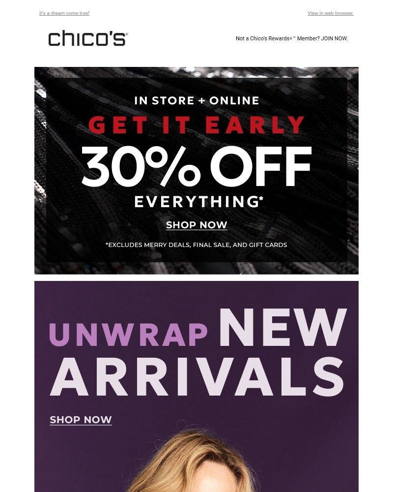 Screenshot of email with subject /media/emails/30-off-everything-including-our-new-collection-f1d97d-cropped-374e615d.jpg