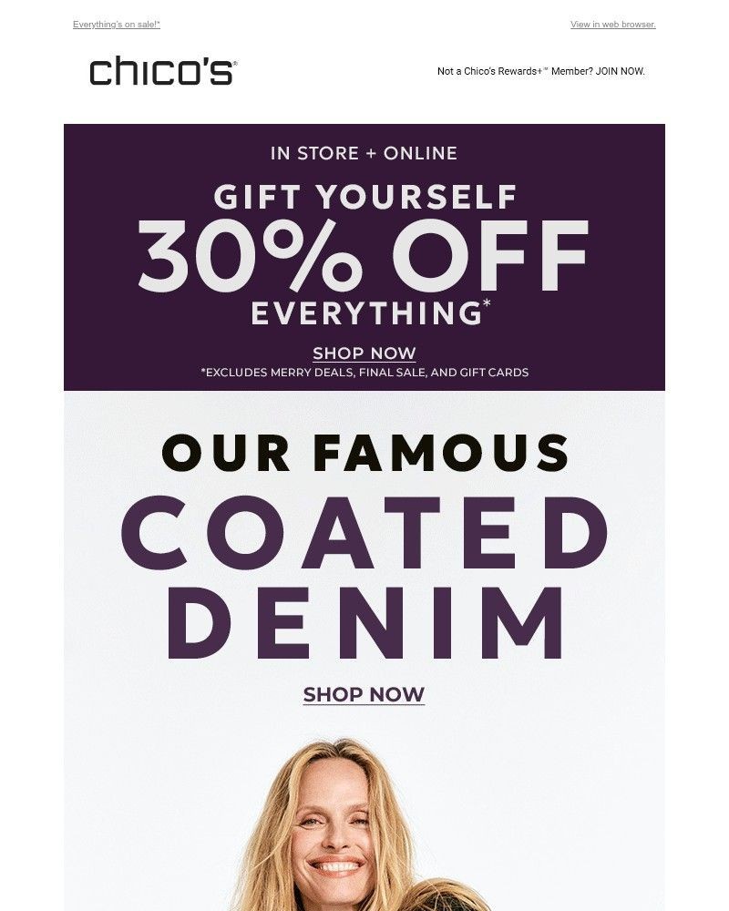 Screenshot of email with subject /media/emails/30-off-freshly-coated-8e0160-cropped-2d893a91.jpg