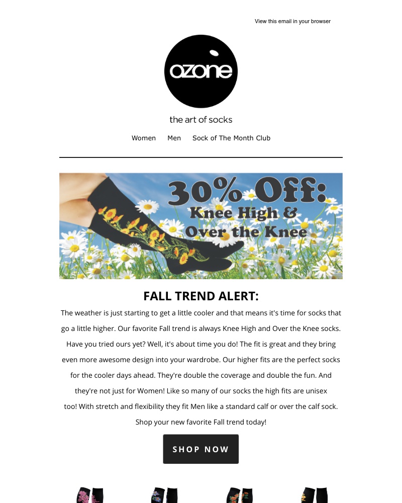 Screenshot of email with subject /media/emails/30-off-knee-high-over-the-knee-larger-sizes-6096e4-cropped-ee0bd670.jpg
