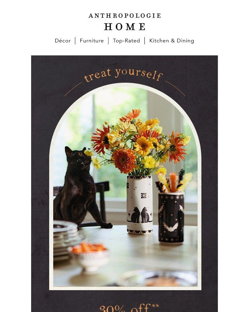 Screenshot of email with subject /media/emails/30-off-must-have-halloween-pumpkin-decor-38b252-cropped-4642f0e9.jpg