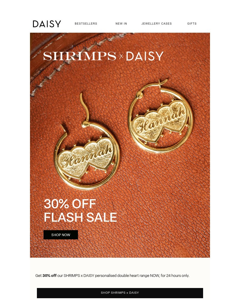 Screenshot of email sent to a Daisy Jewellery Newsletter subscriber