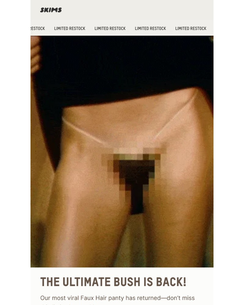 Screenshot of email sent to a Skims Newsletter subscriber