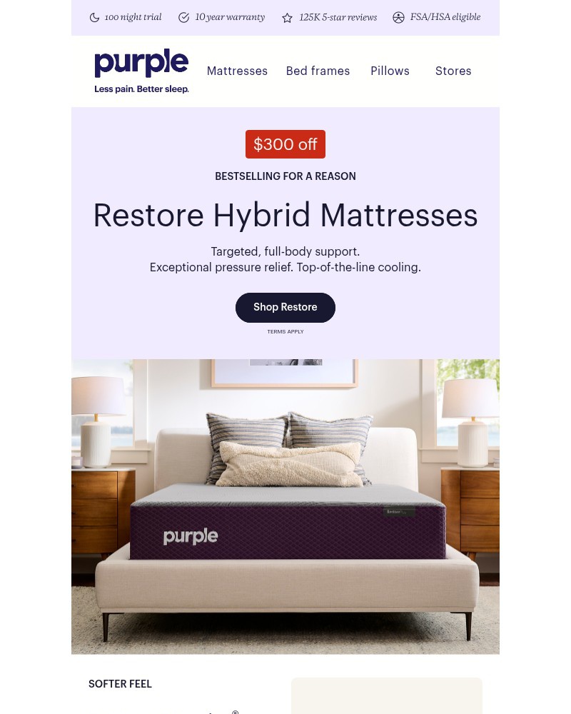 Screenshot of email with subject /media/emails/300-off-the-mattress-that-does-it-all-df6644-cropped-29d0c64e.jpg