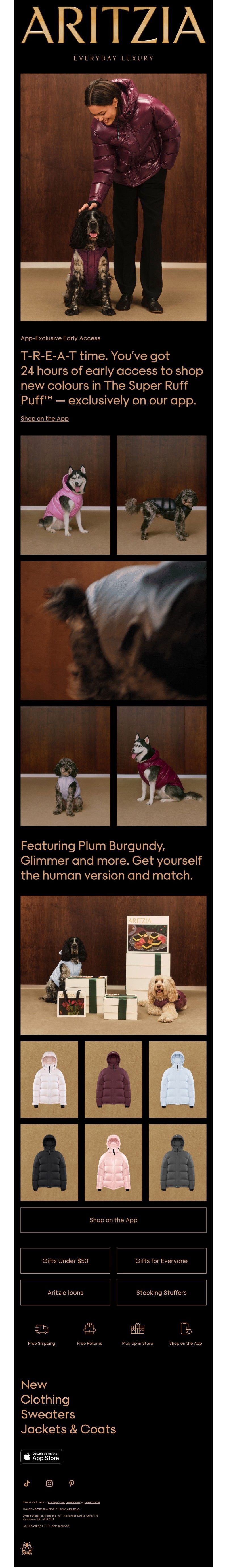 Screenshot of email with subject /media/emails/3114f461-dfa6-4279-95cf-f5fe38c22787.jpg