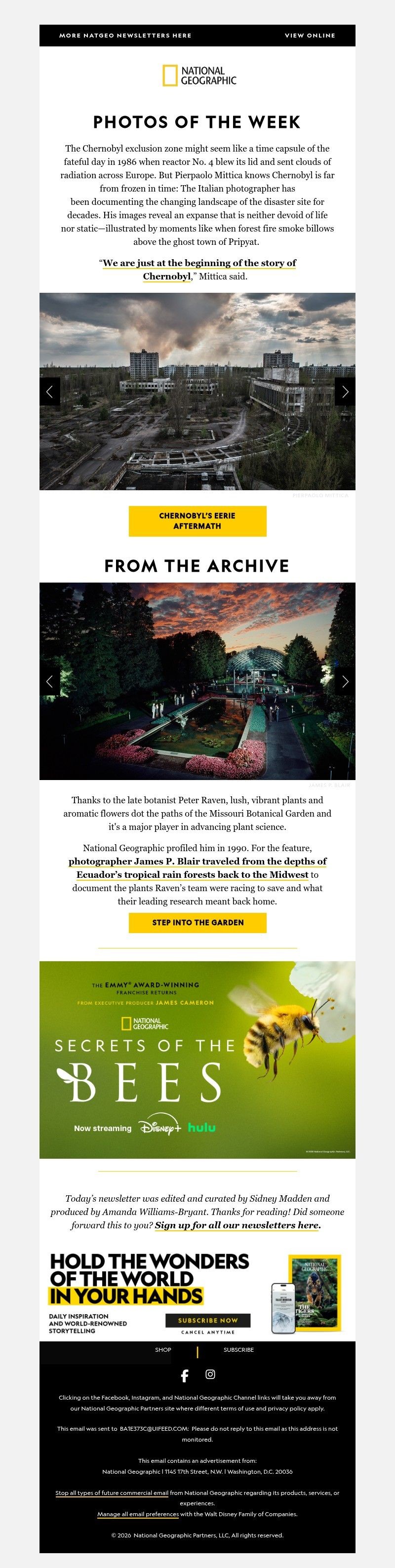 Screenshot of email with subject /media/emails/31703caa-9c5e-463a-a735-205f9ebb299f.jpg