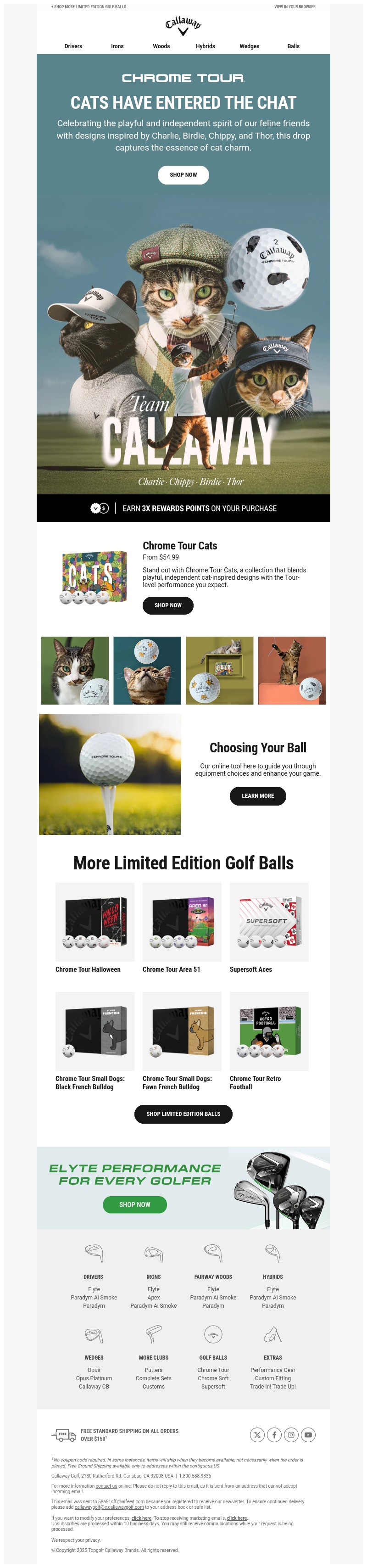 Screenshot of email with subject /media/emails/31db5bb9-3fb0-46b7-8a72-9be8c23d2e79.jpg