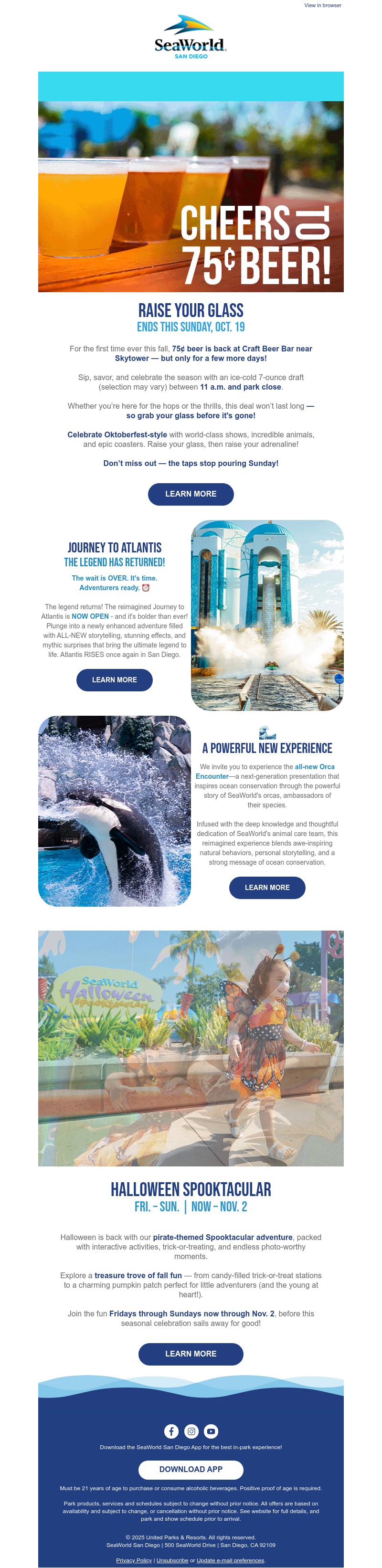 Screenshot of email with subject /media/emails/32aa5ff4-f73e-4a06-a631-d4b25ffbed27.jpg
