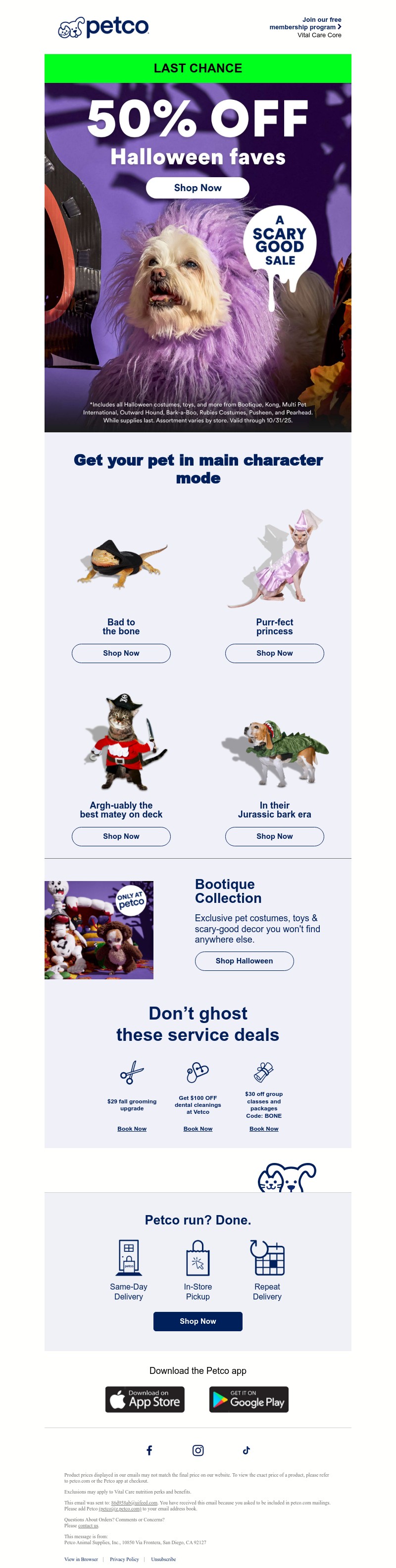 Screenshot of email with subject /media/emails/334c20c7-acf4-469b-bd99-8d5a8e0ca134.jpg