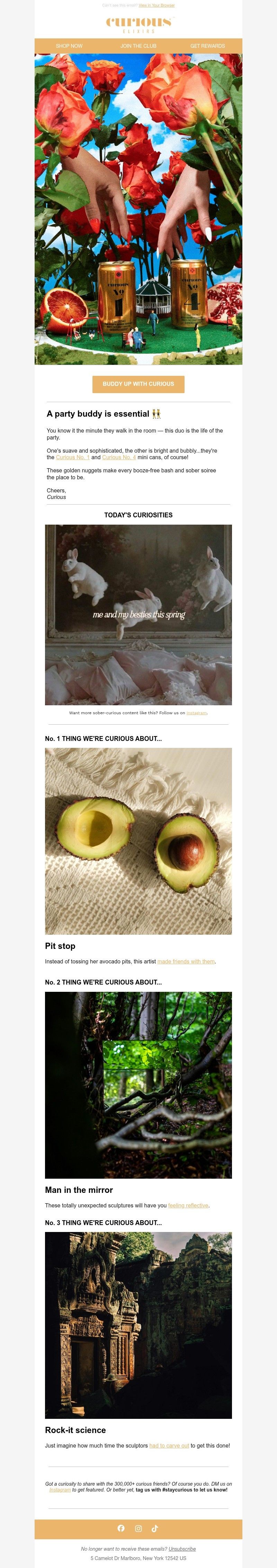 Screenshot of email with subject /media/emails/33d41167-973b-4d13-9b6d-3256fb4c244a.jpg