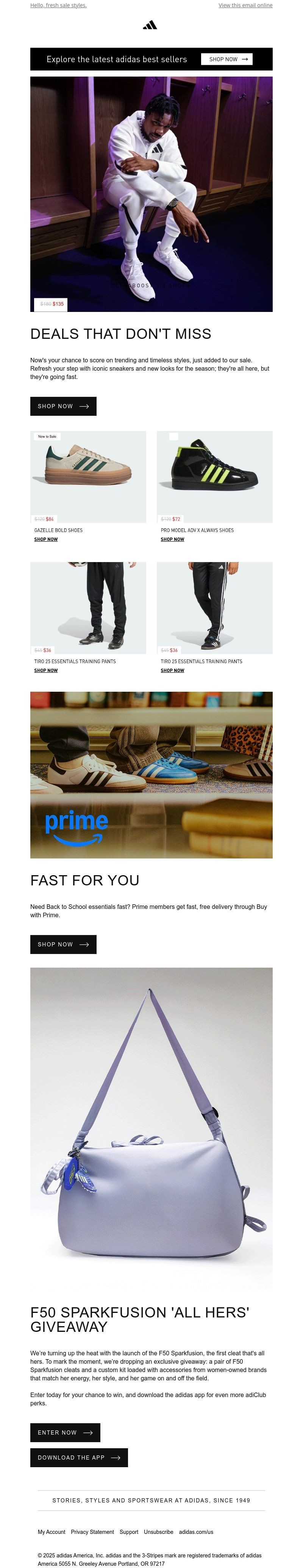 Screenshot of email with subject /media/emails/34151a4b-3e62-4e6b-90b0-91557b0ddd1a.jpg