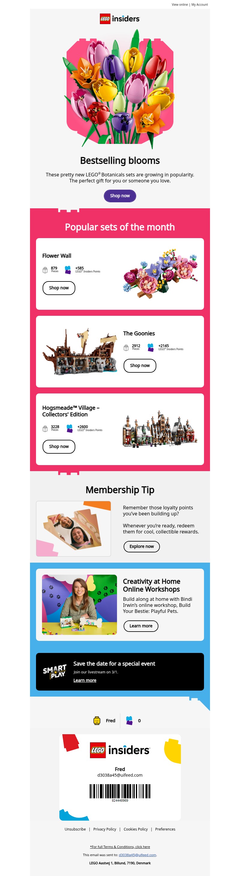 Screenshot of email with subject /media/emails/347d1a7a-e643-4bd7-87fc-6b774131d89e.jpg