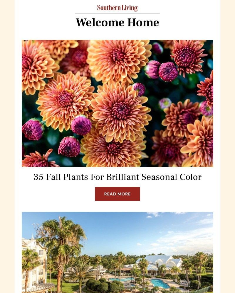 Screenshot of email with subject /media/emails/35-fall-plants-for-brilliant-seasonal-color-1ee8c2-cropped-c54b9196.jpg