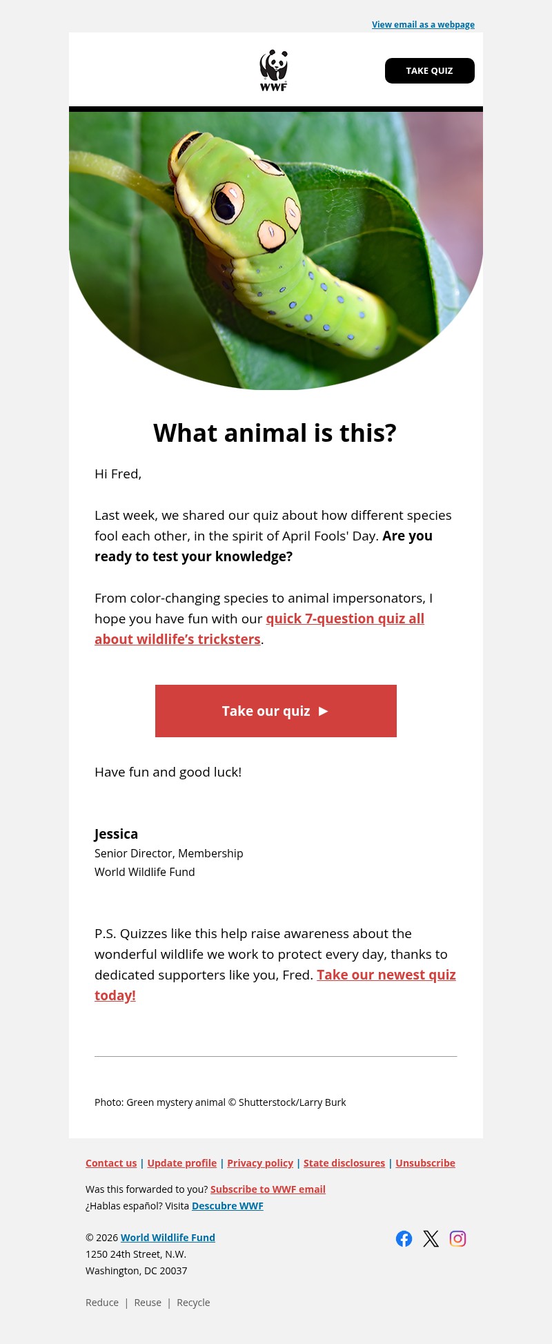 Screenshot of email with subject /media/emails/35825a67-4361-43e1-81bd-1c695a983c40.jpg