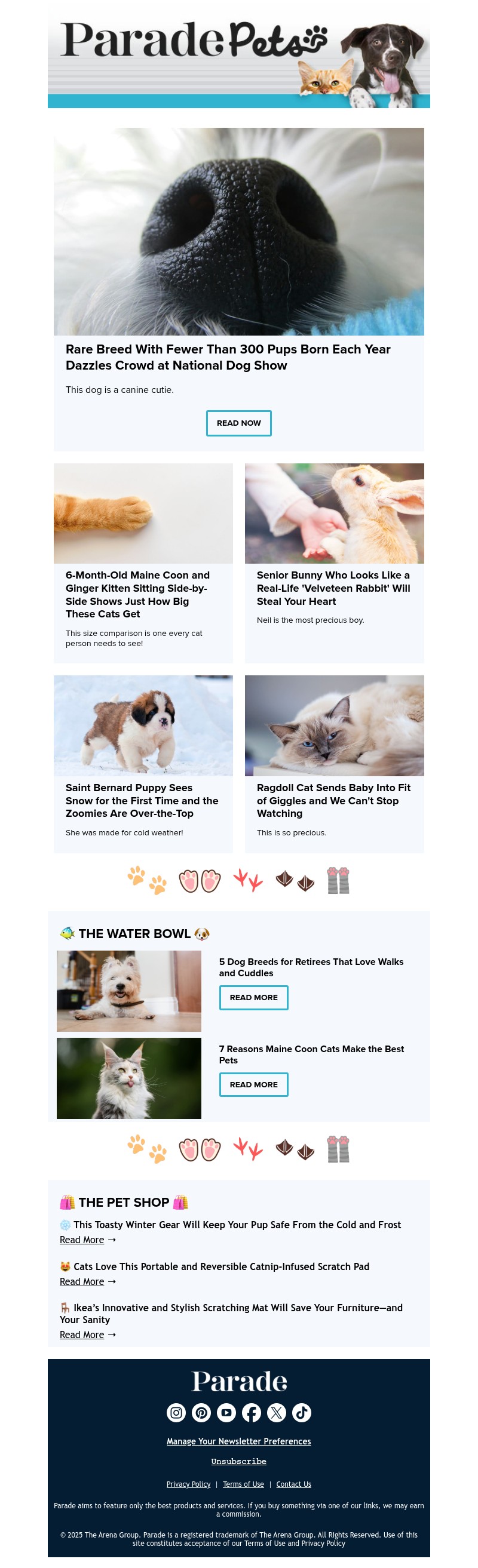 Screenshot of email with subject /media/emails/35d2d0f8-f9a2-4967-84d0-d68e19a42dfa.jpg