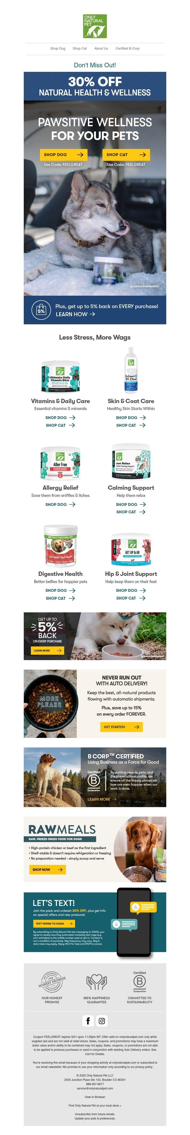Screenshot of email with subject /media/emails/364c9912-3cca-4f16-8f7c-cc772ffd0be7.jpg