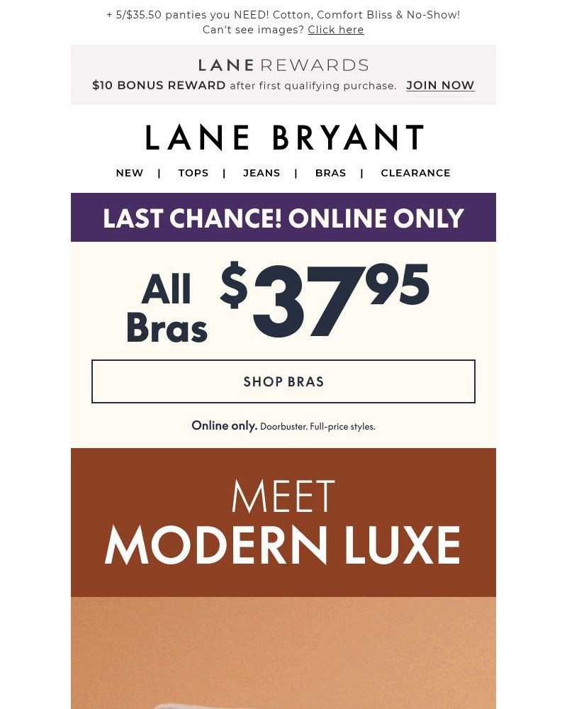 Screenshot of email with subject /media/emails/3750-bras-last-chance-go-a96f0e-cropped-3b02ce19.jpg