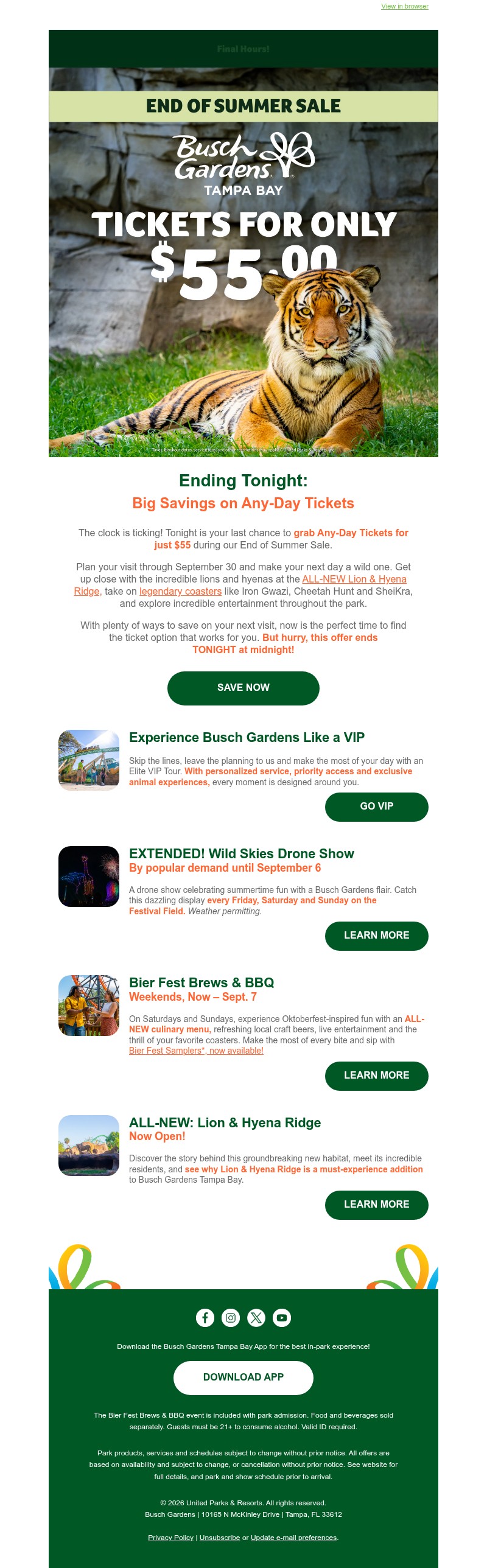Screenshot of email with subject /media/emails/376495f7-aebc-4ccc-b309-54a9a682b880.jpg