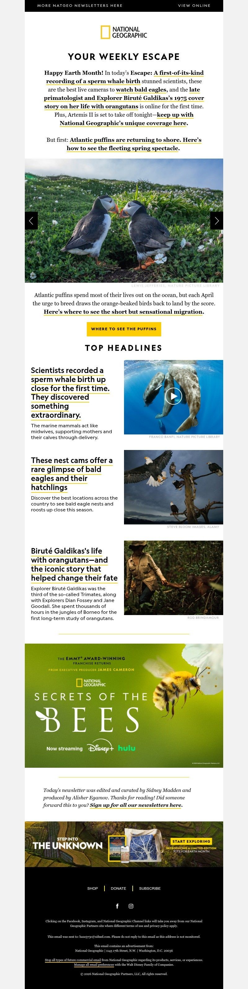 Screenshot of email with subject /media/emails/387b8e04-2aaf-434a-bee6-76066fccf7b0.jpg