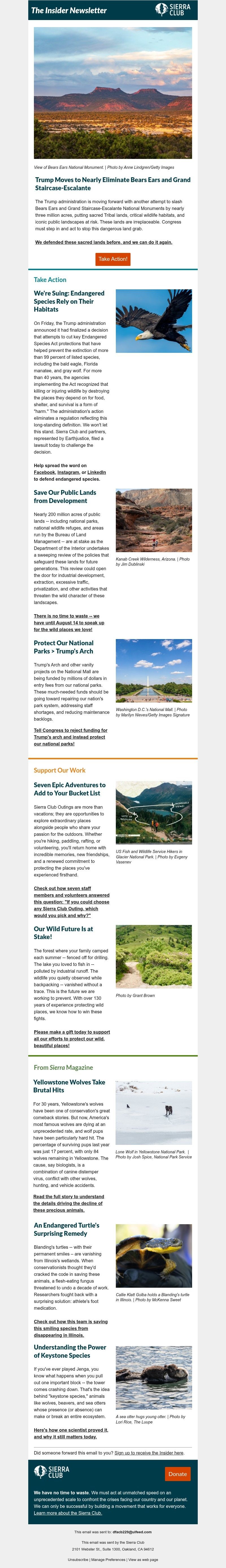 Screenshot of email with subject /media/emails/392a3947-ce51-40c3-9456-198a42193797.jpg