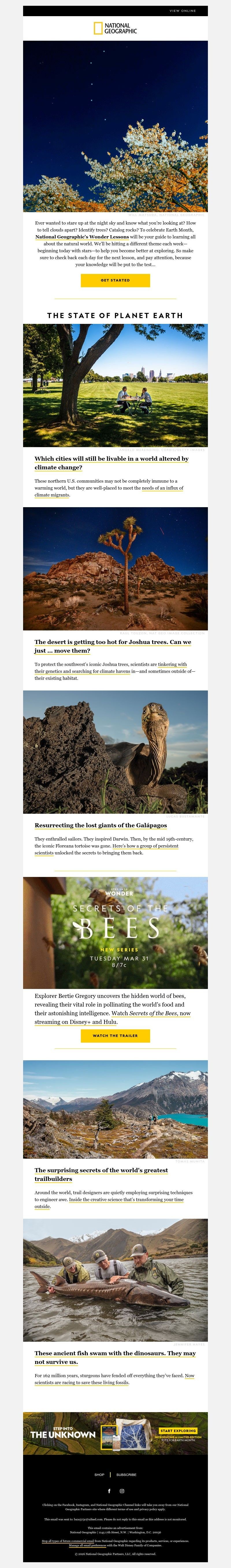 Screenshot of email with subject /media/emails/3977ae36-0b83-412a-a2f1-0334d2be8da9.jpg