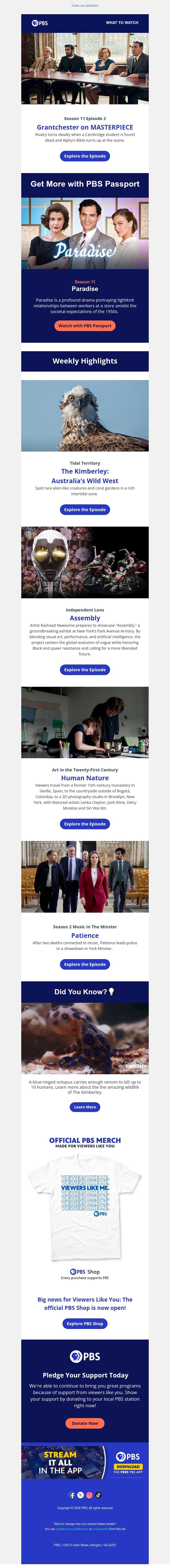 Screenshot of email with subject /media/emails/39824fe9-8e21-4197-b9e3-f03c72740971.jpg