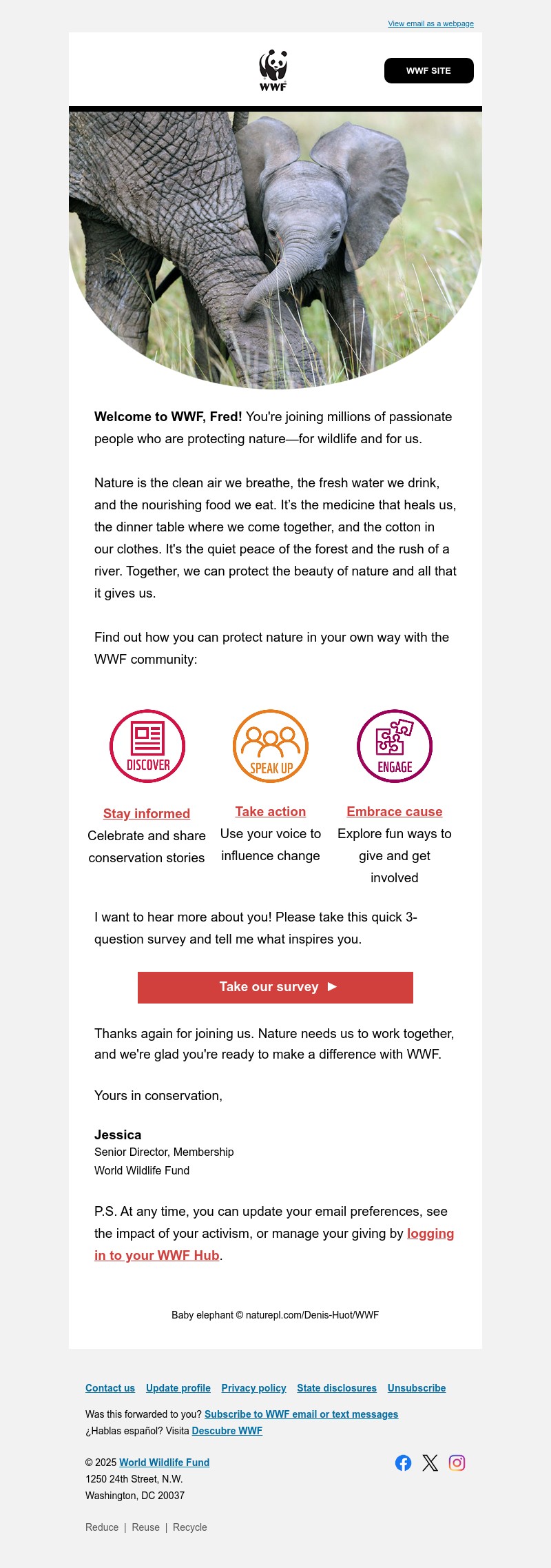 Screenshot of email with subject /media/emails/3a73cd25-3e4a-48b9-95f1-08756d4778dd.jpg