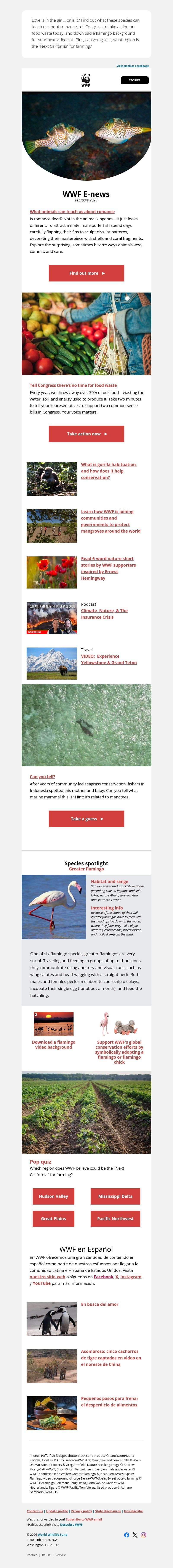 Screenshot of email with subject /media/emails/3b7c75e4-5689-40a5-8ede-aa5f048bf5c8.jpg