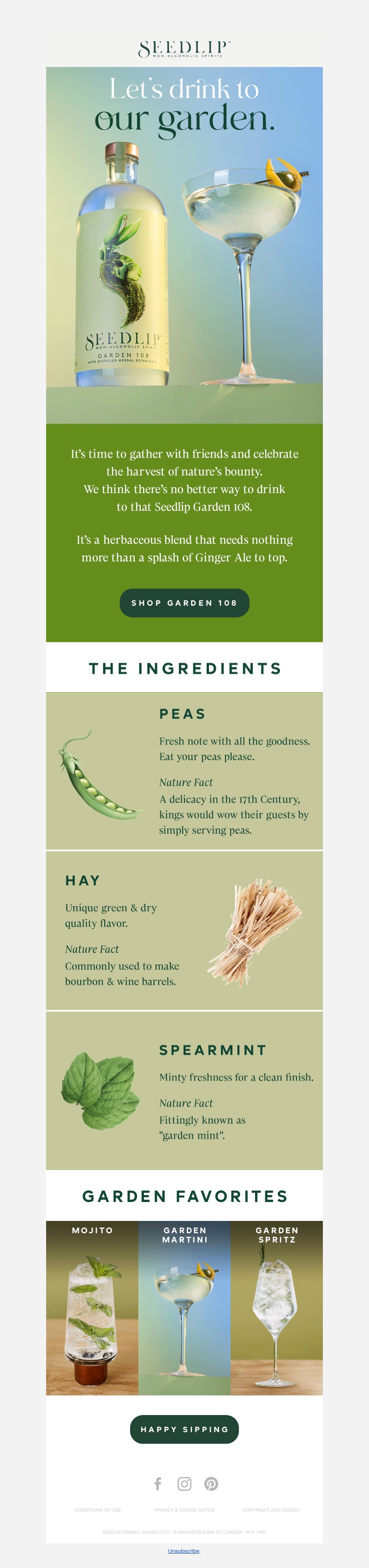 Screenshot of email with subject /media/emails/3b7f91bc-905c-4973-a0d3-65b3eed676b4.jpg