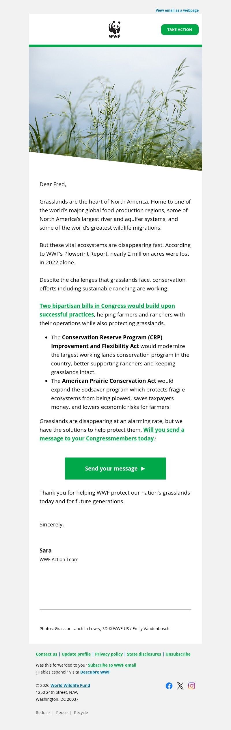 Screenshot of email with subject /media/emails/3d424d69-54f9-4bfd-a020-db37645b0009.jpg