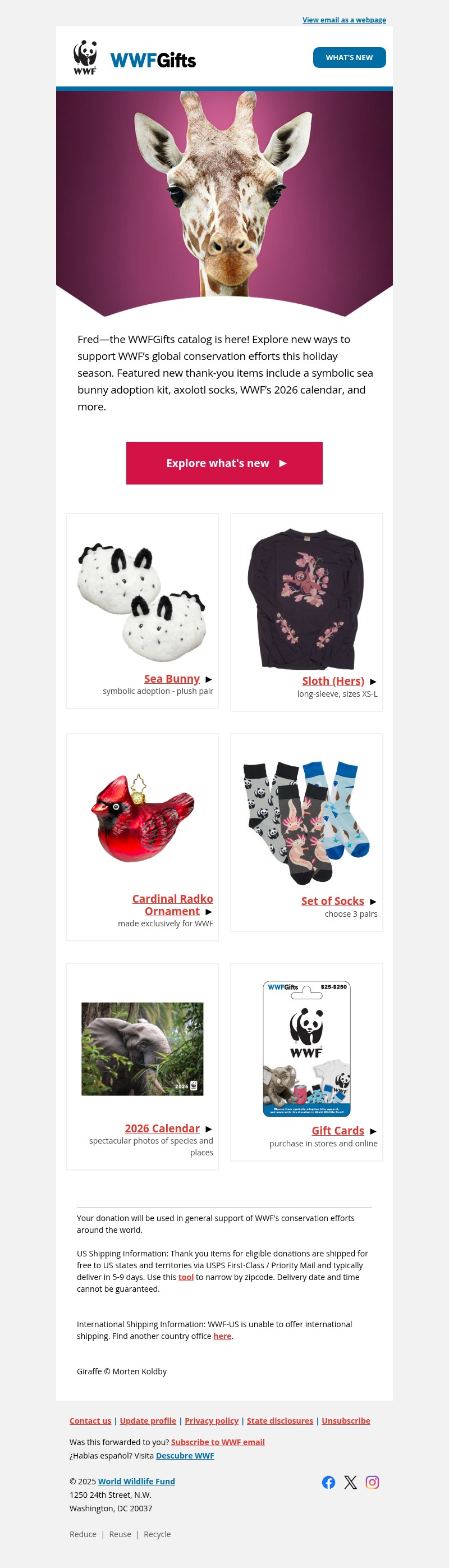 Screenshot of email with subject /media/emails/3d9806cb-b68e-4092-a357-f2a8c8602bb3.jpg