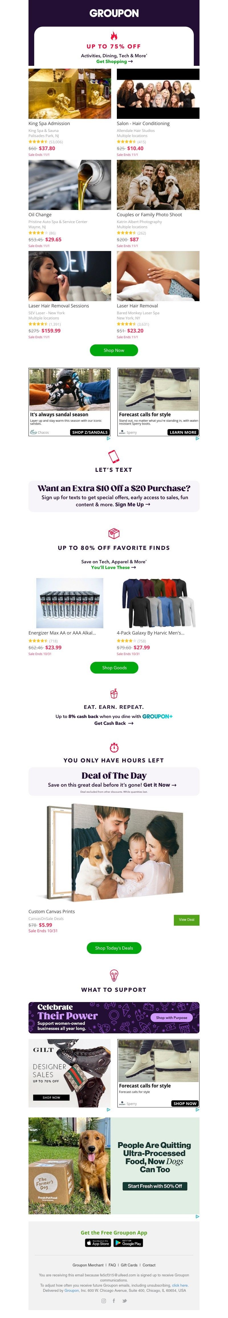 Screenshot of email with subject /media/emails/3ddd0fef-543e-4276-b7f7-0153550164e5.jpg