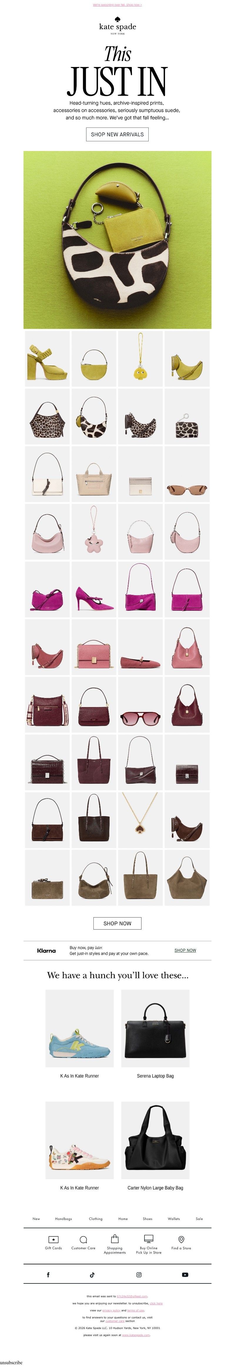 Screenshot of email with subject /media/emails/3f770820-4c5a-4fd8-a43f-dd65a6a8a125.jpg