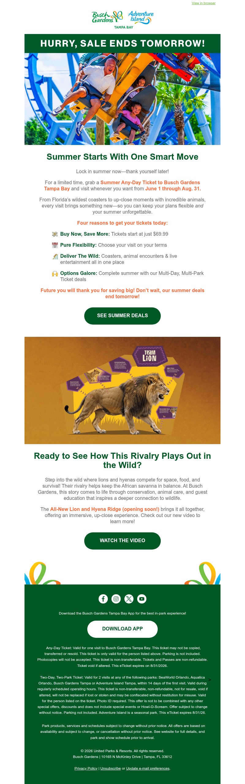 Screenshot of email with subject /media/emails/3f808e19-9da1-479c-8f28-65c0d92ac3cd.jpg