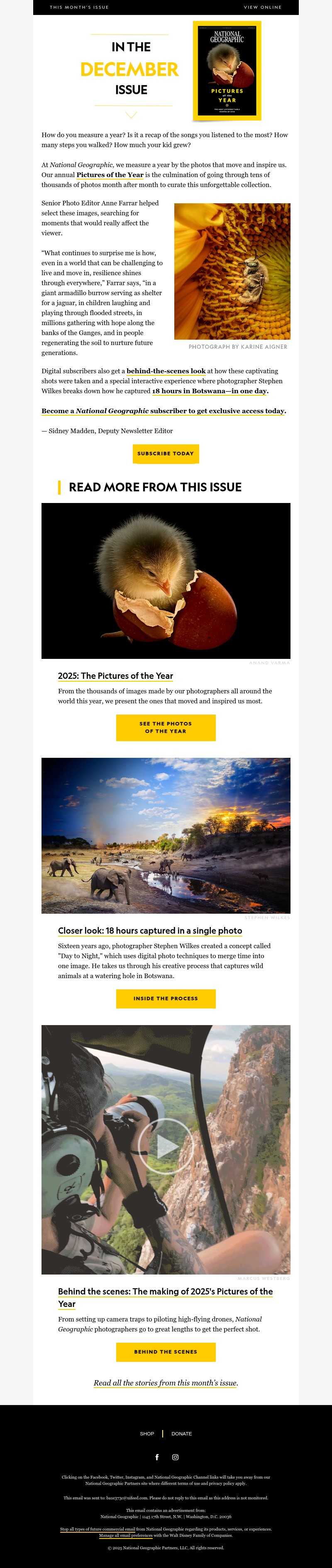 Screenshot of email with subject /media/emails/3fae9890-8045-4e30-b9b6-308056f4ae8d.jpg