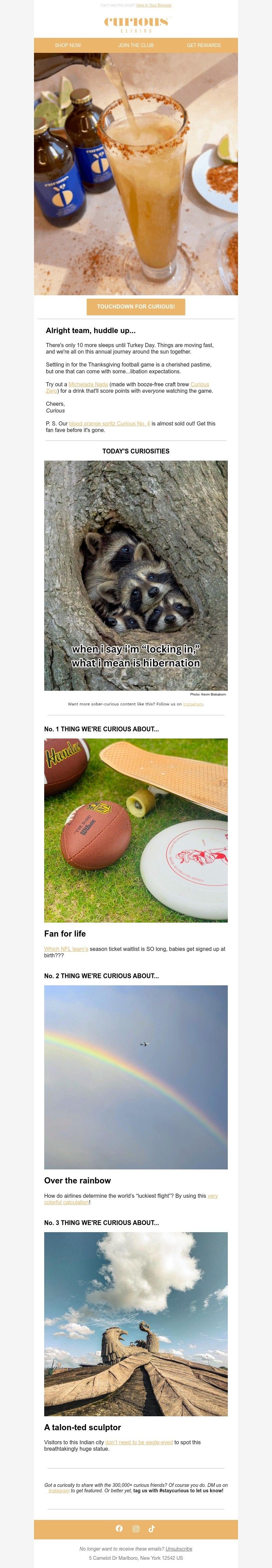 Screenshot of email with subject /media/emails/3fc52013-6923-41c3-b9ae-0a56db7fe40f.jpg